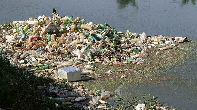 Consumo e descarte de lixo no Brasil